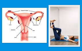 Descubre todo acerca de la endometriosis, una enfermedad benigna frecuente en mujeres, gracias al especialista en ginecología, el dr. Endometriosis Como Aliviar Mis Sintomas Fisio Sport Murcia