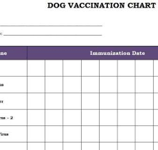 Dog Vaccination Record Maddie Dog Vaccination Schedule