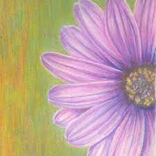 painting flowers with colored pencils