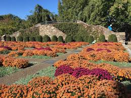gorgeous botanical garden review of