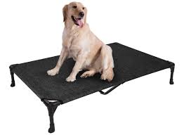 best raised dog beds review in 2023