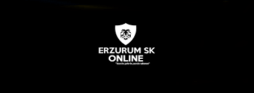 Download erzurumspor vector (svg) logo. Erzurumspor Online Home Facebook