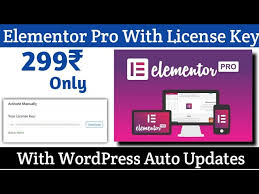 get astra pro with license key auto