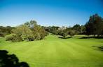 Northbridge Golf Club in Northbridge, Sydney, Australia | GolfPass