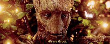 Image result for we are groot meme