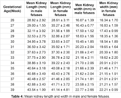 Table 4 From Fetal Kidney Measurement In 26 39 Weeks