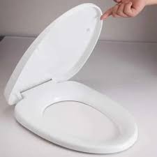 Tarryware White Toilet Seat Cover For