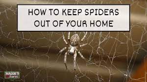 how to keep spiders out of your home