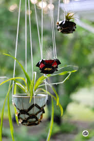 45 Best Outdoor Hanging Planter Ideas