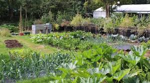 sustainable gardening includes many