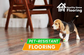 what is the best flooring option for dogs
