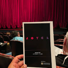 photos at the joyce theater chelsea