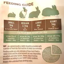 How Do You Weigh Your Bunny And A Question About Pellets