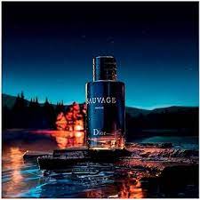 Sauvage Perfume gambar png