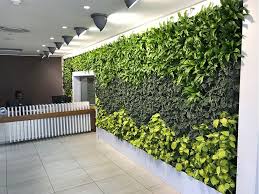 Living Walls And Indoor Irrigation