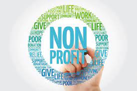 What Is A Nonprofit Organization | Purpose Of A Nonprofit - Before Their  Time