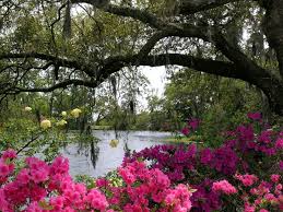 airlie gardens oak island nc