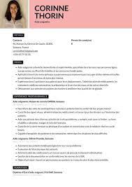 exemples de cv aide soignant e cv