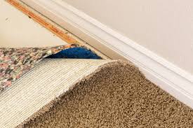 mold does it lurk beneath your carpet