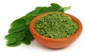 moringa drumstick leaves nutrition