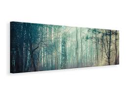 Panoramic Canvas Print Pinewood