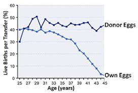 How Age Affects Fertility Global Donor Egg Bank