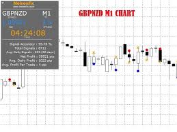 Pivot X 95 Accuracy And 1022 Pip On Gbpnzd Forex