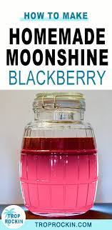 homemade moonshine recipe without a