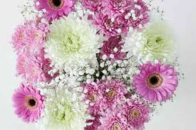 Marks & spencer is one of the uk's most popular retailers. M S Is Offering 5 Off Selected Mother S Day Flowers And There S Free Delivery Mirror Online