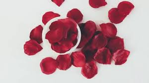 spiritual meaning of rose petals