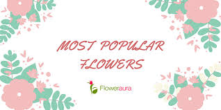 top 10 most por flowers