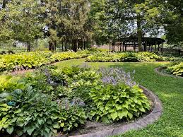 hosta garden dubuque arboretum