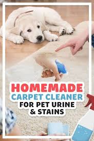 homemade carpet cleaner for pet urine