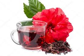 Image result for hibiscus tea à¸à¸·à¸­