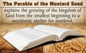 meaning of the parable and mustard seed