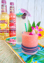 The tiny flowers are edible but the oil in the leaves yields a fabulous flavor and scent. Pink Hawaiian Pool Boy Tiki Cocktails Master Your Luau Party Elle Talk