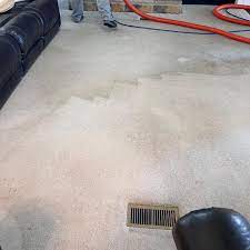 carpet cleaning in marshall county