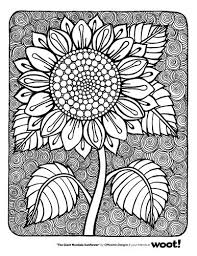 Flower Coloring Pages Colorful Drawings