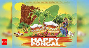 happy pongal 2024 images es