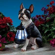 Boston Terrier Solar Lantern Garden