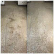 carpet cleaning mesa az 1 rated