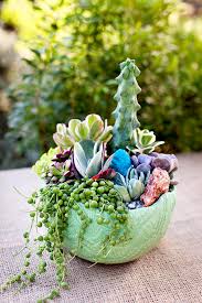 how to make a potted succulent garden