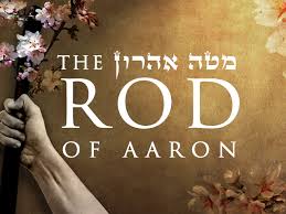 Korach: The Rod of Aaron - Ladder of Jacob