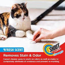shout carpet stain remover and odor