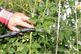 organic pest control for your garden