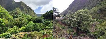 iao valley day trip epic beauty in