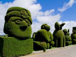 Tips On Creating An Outdoor Topiary