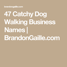 150 Catchy Dog Walking Business Names Pet Sitting Ideas Dog