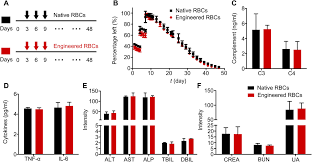 A normal red cell count with cells may be relatively uniform in size and have a low rdw, or have a wide range of sizes and have a high. Surface Anchored Framework For Generating Rhd Epitope Stealth Red Blood Cells Science Advances
