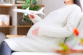 妊娠 中 飛行機